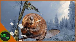 My Thoughts On The New Beavers! Call Of The Wild