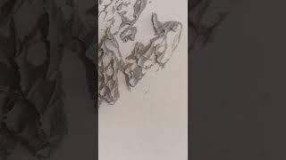 гротто декоративная штукатурка