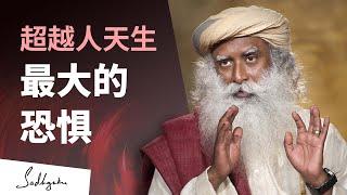 超越对它的恐惧，你便能无所畏惧 | Sadhguru 萨古鲁