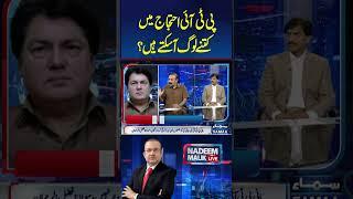 PTI Protest Mai Ketne Loug Aa Sakte Hein ?