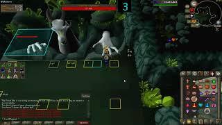 Olm Solo w/ Tumeken's Shadow and Osmumten's Fang