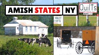 The Amish in New York (50+ Communities)