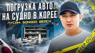 ПОГРУЗКА АВТО НА СУДНО В КОРЕЕ | ПУСАН: SONGDO BEACH