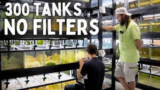 300+ Aquariums with NO FILTERS | In Depth Tour