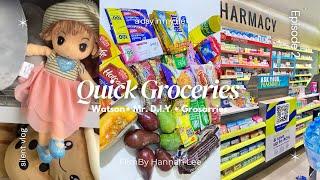 GROCERY VLOG PH  Essential needs | Watson | Mr. D.I.Y