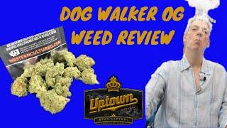 DOG WALKER OG Cannabis Strain Review