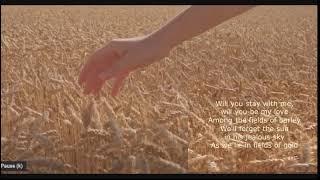 "Fields of Gold" by STING/Eva Cassidy (COVER by Clementine duo) -LYRICS