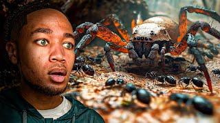 I Tried Surviving As An Ant | Empire of the Ants