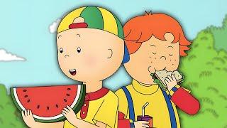 Caillou Fait un pique-nique | Caillou en Français | WildBrain Enfants