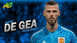 David de Gea ● The Loyal One ● Unreasonable saves 2022/2023 | HD