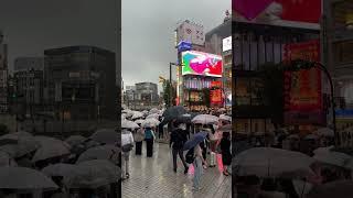 Raining Tokyo and giant cat