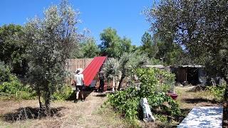 Putting the Roof on our DIY Pallet Cabin