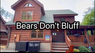 Luxury Cabin  with Sauna Only Minutes From The Parkway Bears Don’t Bluff  Patriot Getaways Property