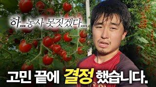 귀농 5년차, 땡전 한푼 안남은 청년농부의 결정