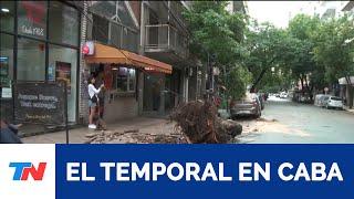 EL IMPACTO DE LA TORMENTA EN CABA | Árboles caídos en Palermo y autos destrozados