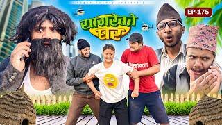 सागरेको घर “Sagare Ko Ghar”Episode 175॥New nepali Comedy Serial॥By Sagar pandey॥6 december 2024॥