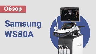 Обзор от Медэк Старз | УЗИ аппарат Samsung WS80A