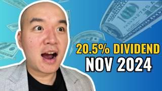 20.5% dividend, 150% revenue growth, mutual fund plans - Nov 2024 Monthly Investor update