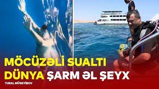 MİSİR VLOG (MÖCÜZƏLİ SUALTI DÜNYA ŞARM ƏL ŞEYX)