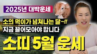 2025년 5월 소띠운세 소의 먹이가 넘쳐나는 달~!! 지금 끌어모아야 합니다! [양평용한점집 청화신당]