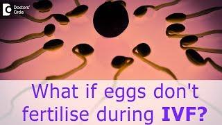 What if eggs don't fertilise during IVF? - Dr. Mangala Devi KR