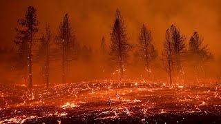 Giant fire tornado in northern California wildfire