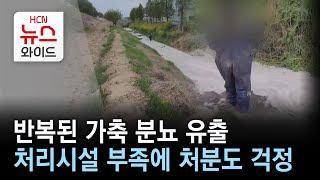 반복된 가축 분뇨 유출…처리시설 부족에 처분도 걱정/HCN 충북방송