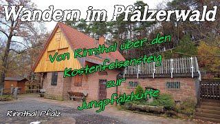 Von Rinnthal über den | Kostenfelssteig | zur Jungpfalzhütte | Wandern Pfälzwerwald | DE