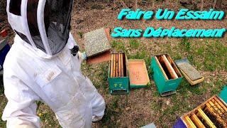 Faire Un Essaim Sans Déplacement