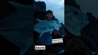 Powerful fish caught on zman lure #fishingingoa #shortvideo #shorts