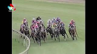 Brave Warrior Phar Lap Stakes 1994