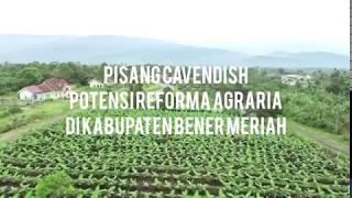 PISANG CAVENDISH, POTENSI REFORMA AGRARIA DI KABUPATEN BENER MERIAH