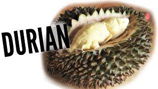 DURIAN Taste Test | FRUITY FRUITS