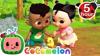 Cody and Cece Nature Walk Song | CoComelon - Cody's Playtime | Songs for Kids & Nursery Rhymes