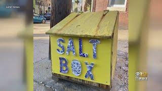 American Visionary Art Museum puts a spotlight on Baltimore's saltbox revival