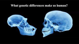 CARTA: Genome Structure Variation with Evan Eichler