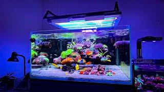 The Coolest Floating Reef Aquarium Setup I’ve Ever Seen 