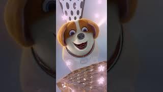 Flying MOCO  | The Temptation of Honey 蜂蜜誘惑 | Flying MOCO Shorts 爆笑飛狗MOCO (2023)