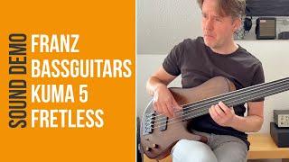 Franz Bassguitars Kuma 5 fretless - Sound Demo (no talking)