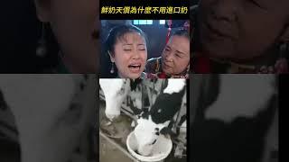 台灣鮮奶這麼貴，紐西蘭奶便宜，還零關稅了，為什麼不大量進口? #鮮奶 #鮮乳 #保久乳 #長效乳 #紐西蘭鮮乳