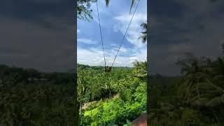 Travel |  Bali Swing, Ubud #shorts #travel #bali #baliswing #ubud