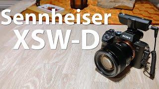 Sennheiser XSW-D im Test - XS Wireless Digital - Die universelle Funkstrecke für Einsteiger