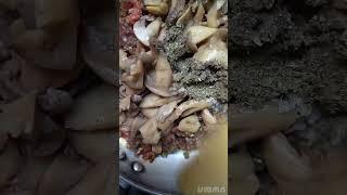 كيش بالكفتة والفطر