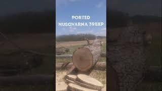 Ported Husqvarna 390xp by Buxton Work Saws and Just Send It Saws - Chainsaw Porting Work Saws