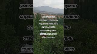 Если хочешь быть умным #мудрыеслова #цитаты