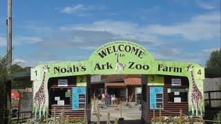 Noahs Ark Zoo Farm, August 2020