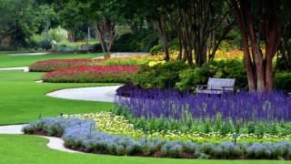 Summer at the Dallas Arboretum