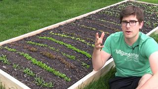 Grow 500% MORE Vegetables in 5 Times LESS Space!