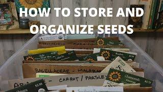 How to Store and Organize Seeds