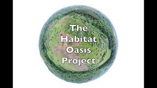 #34 Habitat Oasis Project Overview - Transforming an 80 acre strip mine back to native habitat